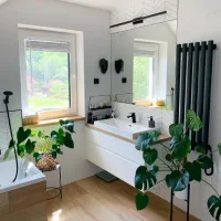 Green potted plant adding a natural touch to a bright bathroom