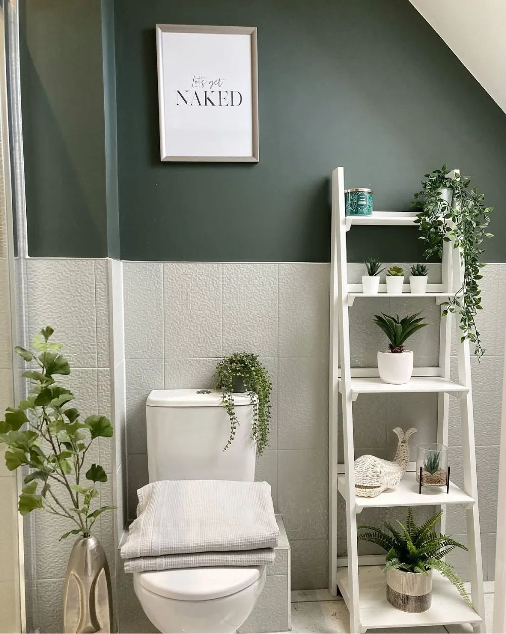 White bathroom shelf decorated with potted and trailing plants