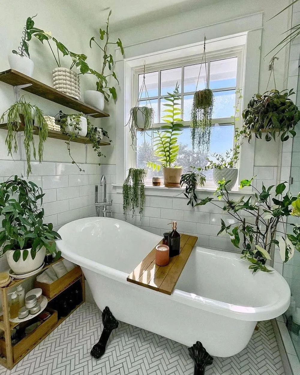 Freestanding bathtub surrounded by hanging and potted plants