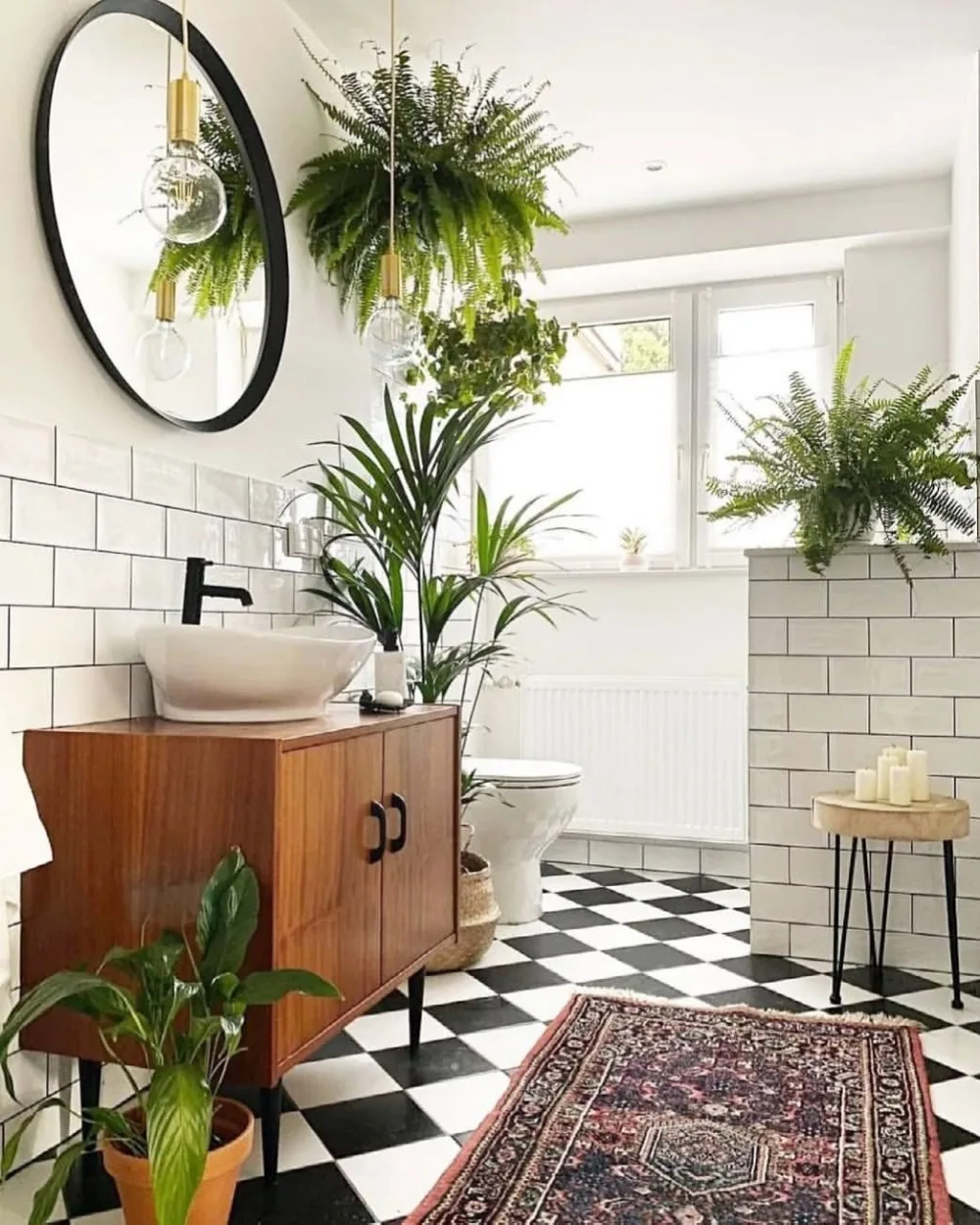 Bright bathroom filled with hanging ferns and tropical plants