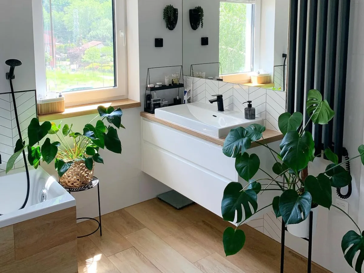 Green potted plant adding a natural touch to a bright bathroom