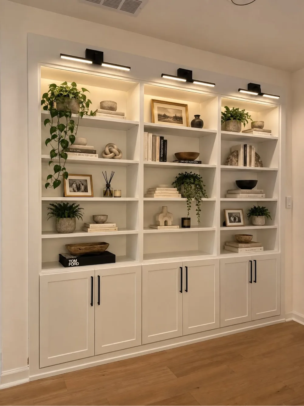 Built-in living room shelving with decorative objects, books, and plants