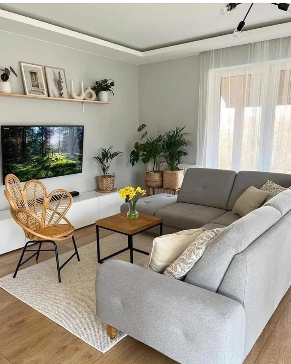Light gray sectional with natural wood, woven chair, and green houseplants