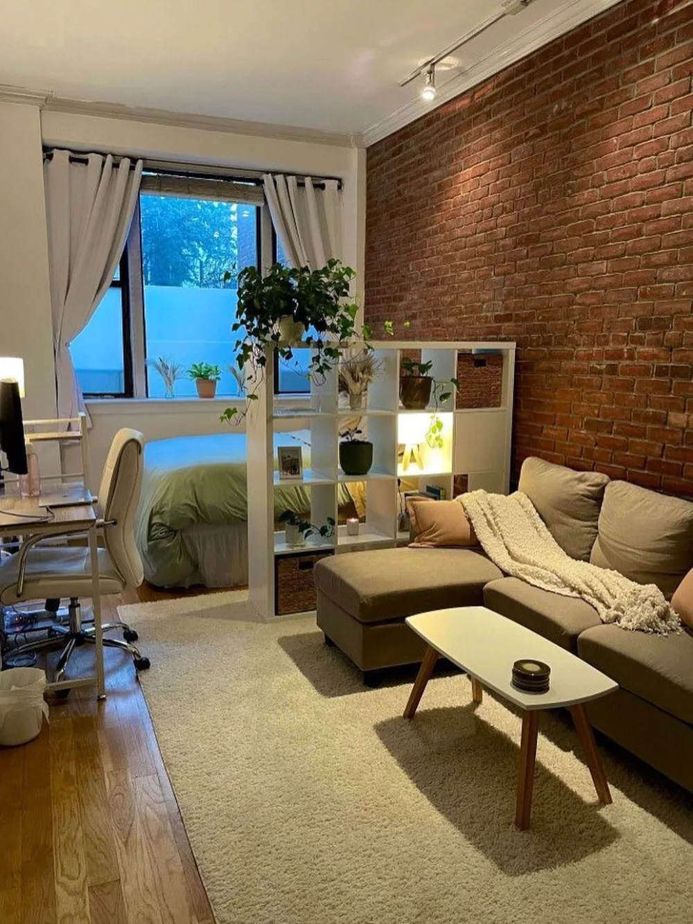 Apartment living room with a white open shelf separating the seating area from the bedroom