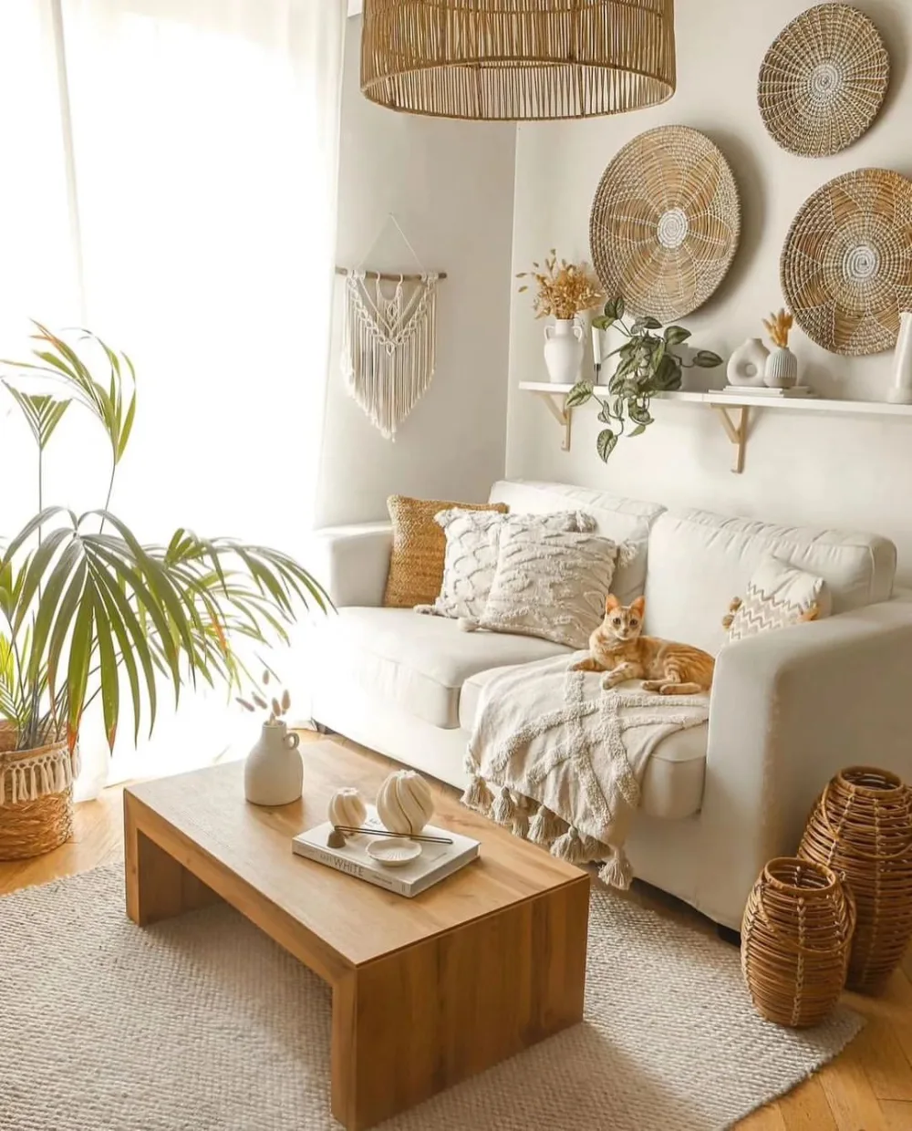 Relaxed boho living room with a cream sofa, orange cat resting on a knitted throw, woven wall baskets, a wooden coffee table, and natural fiber rug.
