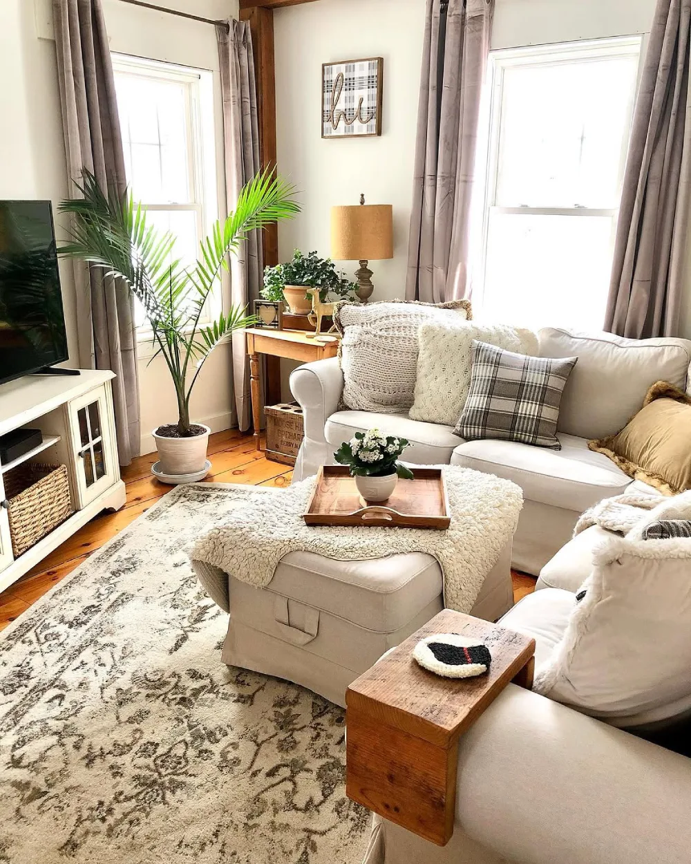Small living room with a white sofa, storage ottoman, large windows, and a potted palm