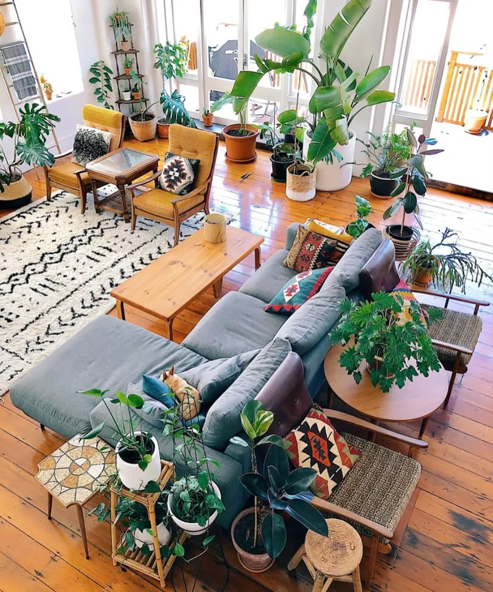 bright living room filled with potted plants near large windows