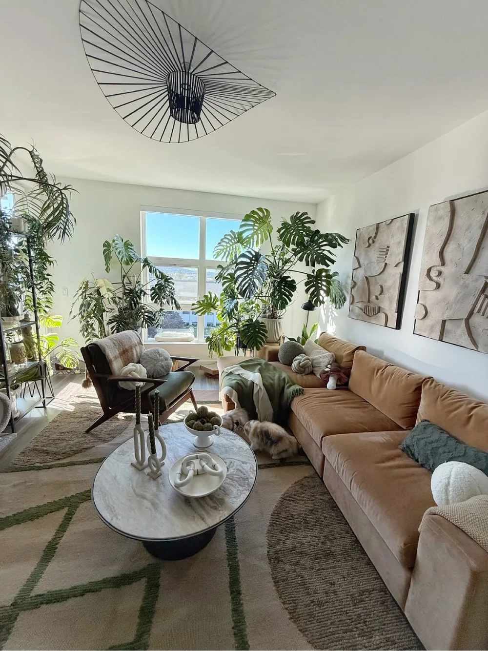 sunny living room corner filled with large monstera plants
