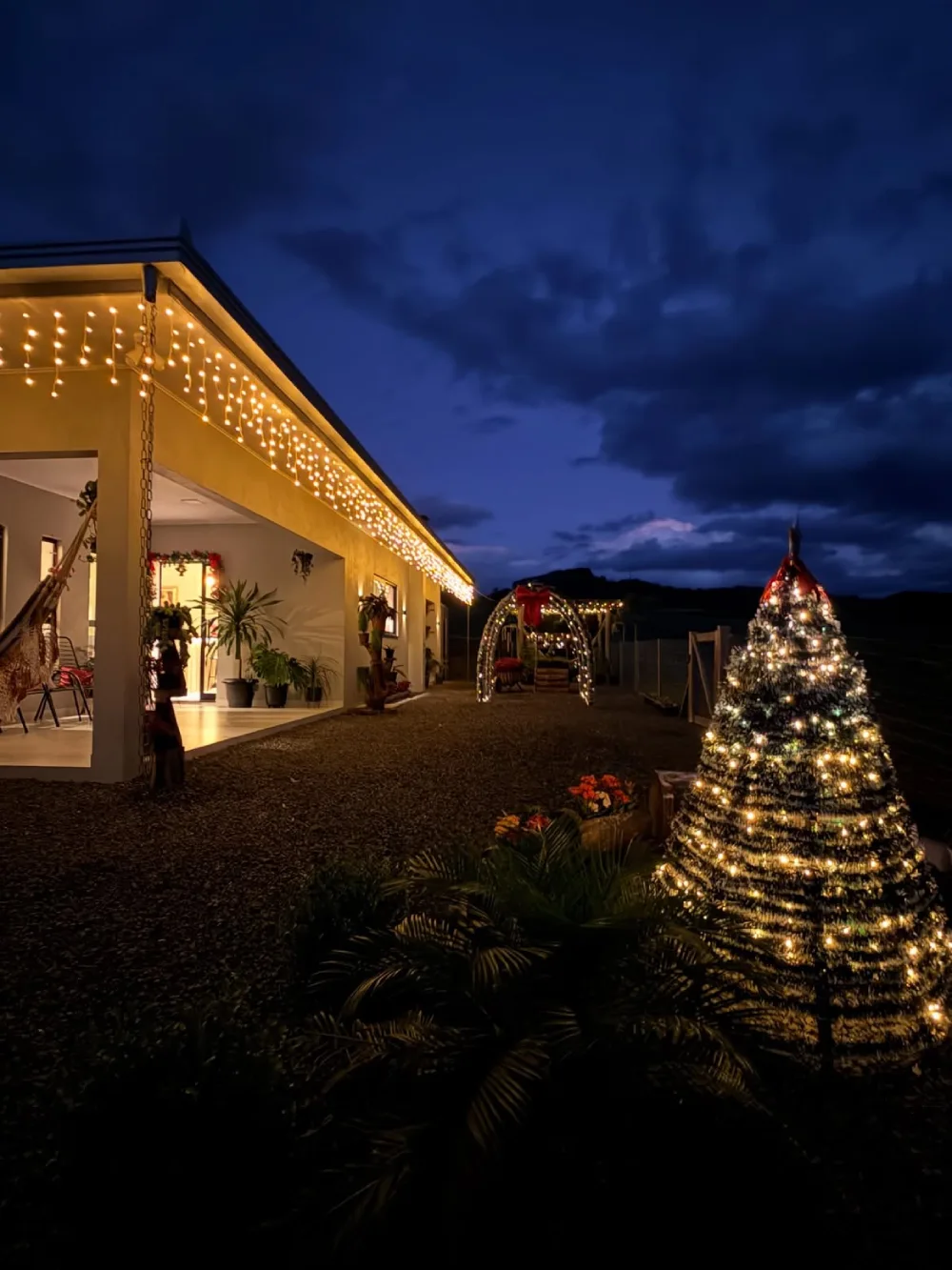 Front yard decorated with glowing Christmas trees and warm white lights at night