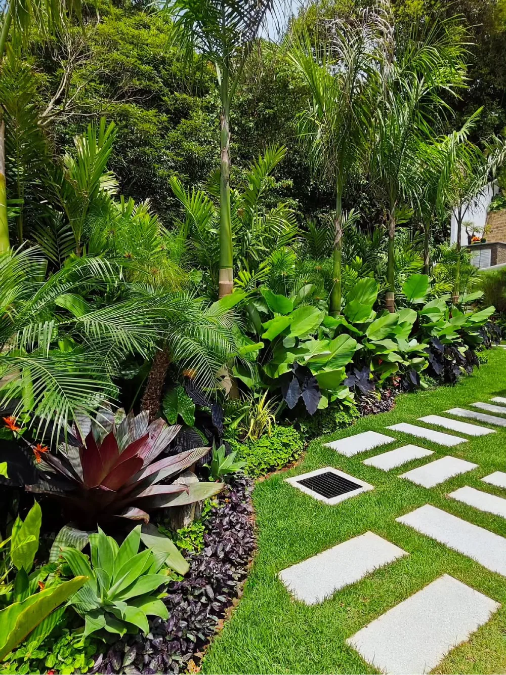 Lush tropical garden with palms, broad-leaf plants, and stepping stones
