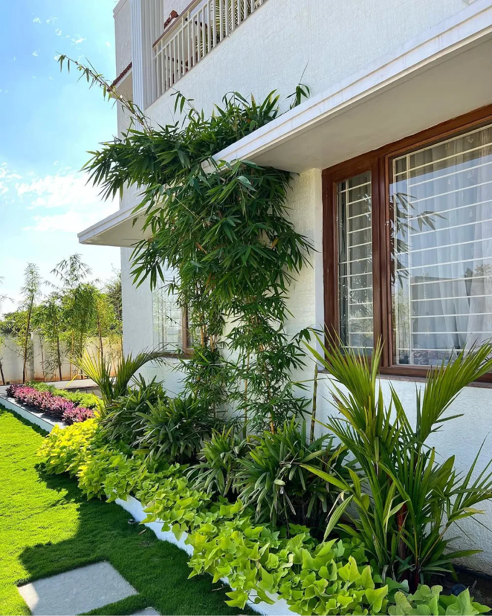 Bamboo and tropical plants arranged along the side of a house