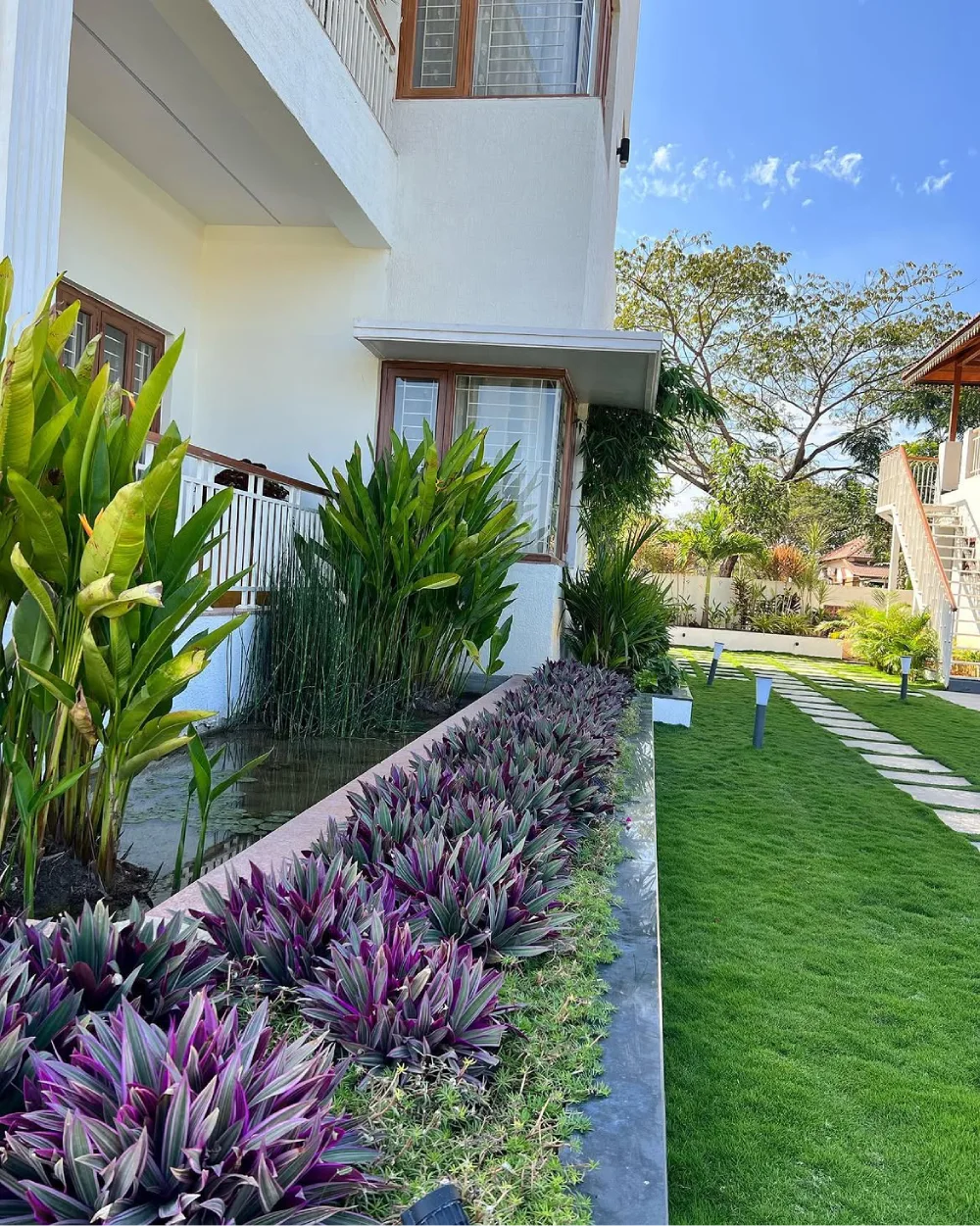 Tropical garden border with lush foliage and purple-leaved plants beside a house