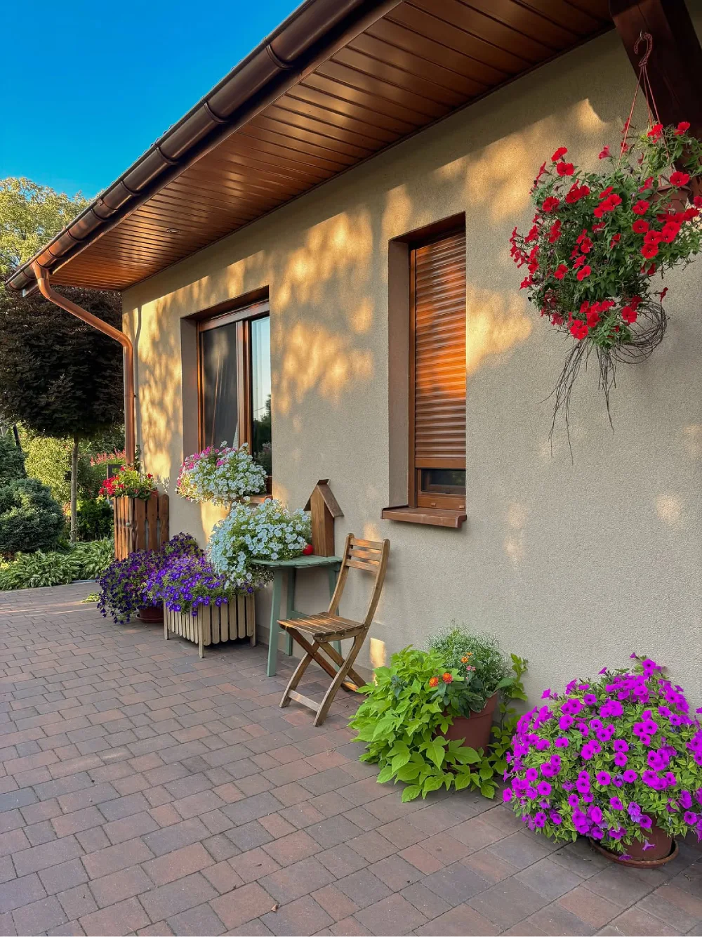 Patio decorated with colorful flowering plants in pots and hanging baskets